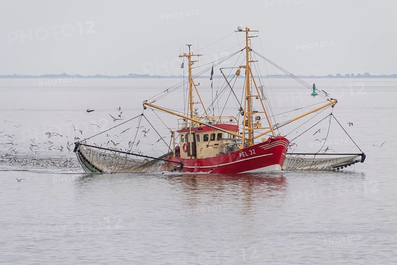 Crab cutter in the Wadden Sea