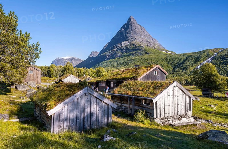 Traditional houses