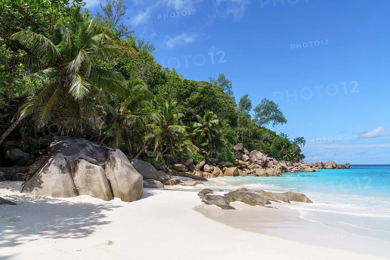 Sandy beach beach Anse Georgette