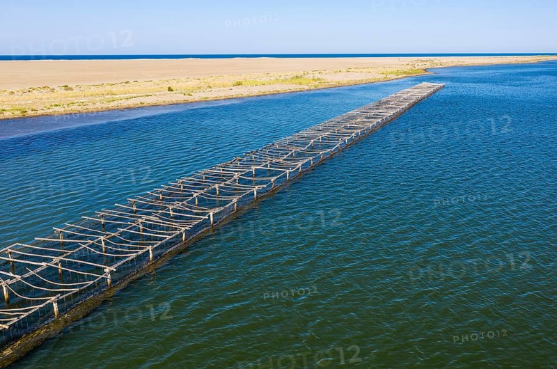 Mussel and oyster farming in the Bahia del Fangar