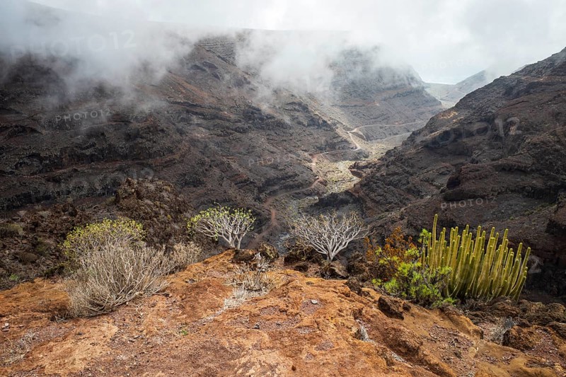 Barranco de la Negra