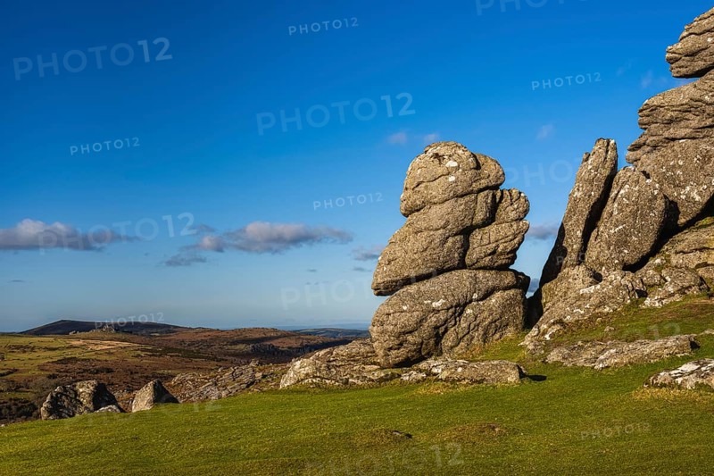 Fields and meadows in Haytor Rocks