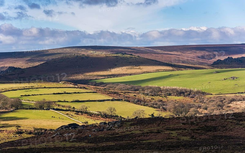 Fields and meadows in Haytor Rocks
