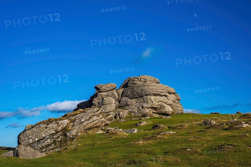 Fields and meadows in Haytor Rocks