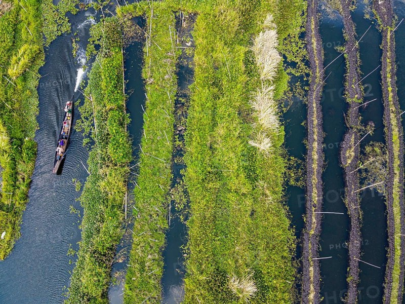 Aerial of the floating gardens