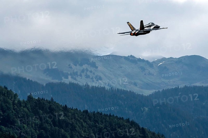 Swiss Air Force