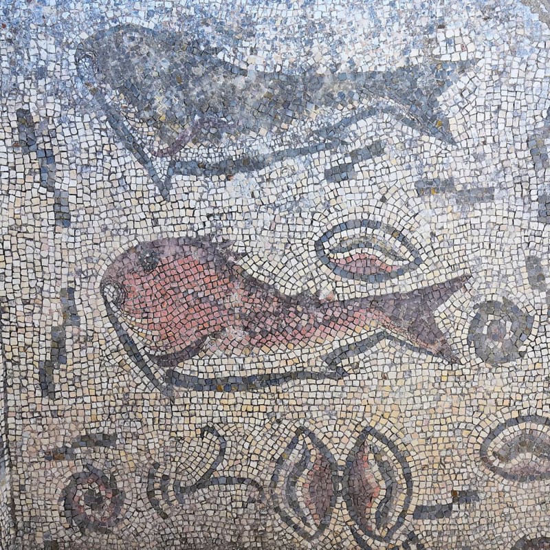 Mosaics with Fish figures