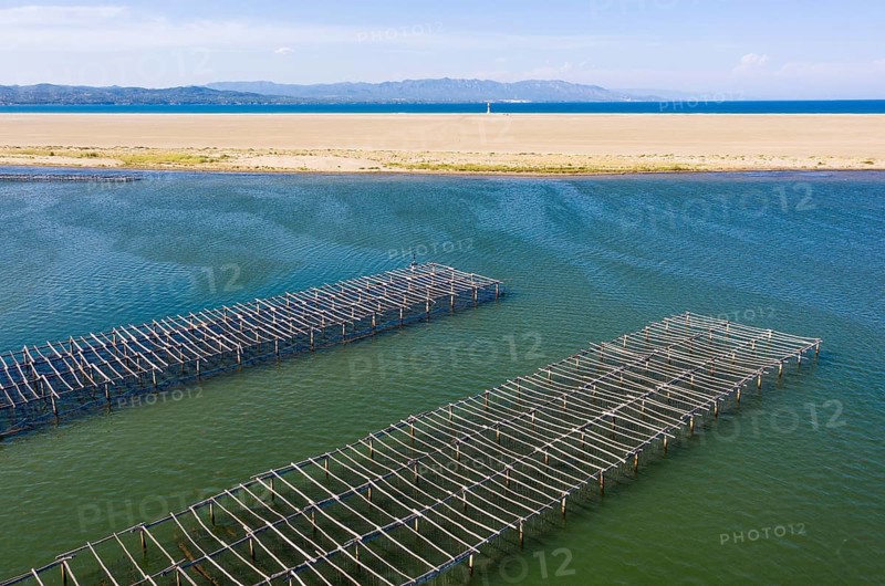 Mussel and oyster farming in the Bahia del Fangar