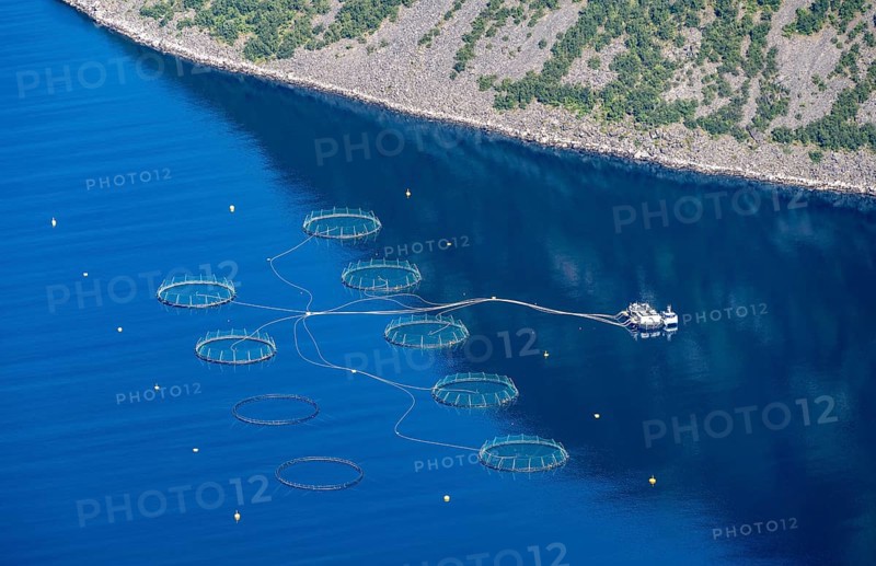 Aquaculture