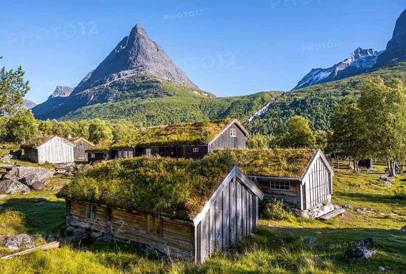 Traditional houses