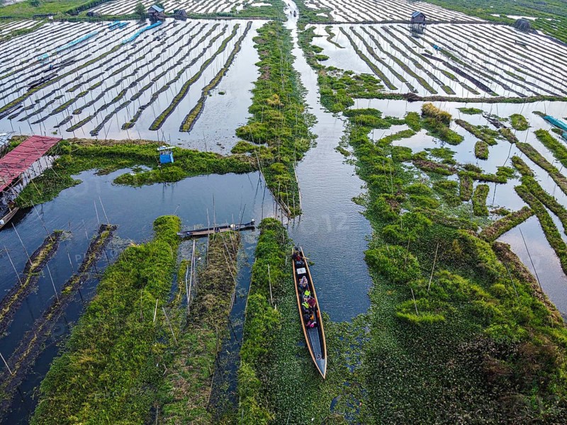 Aerial of the floating gardens