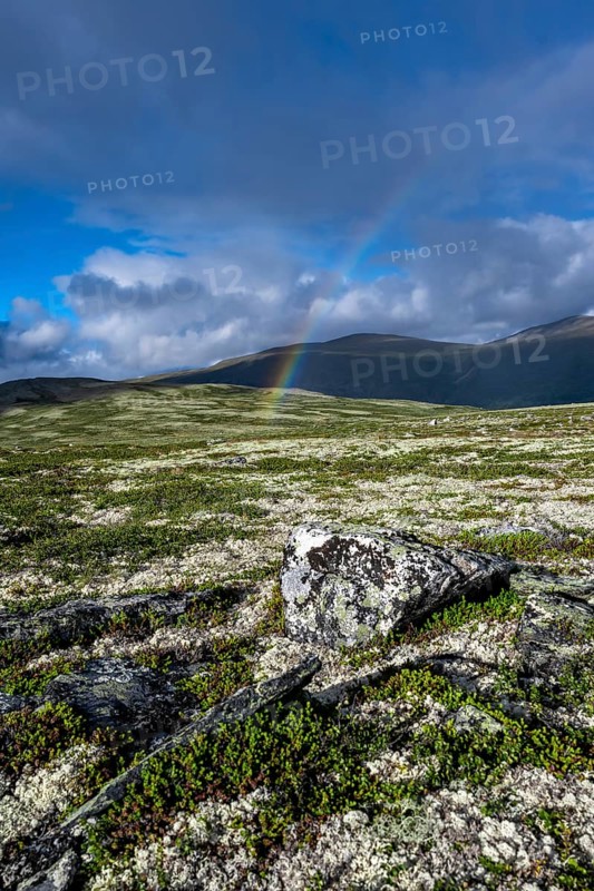 Rainbow in the tundra