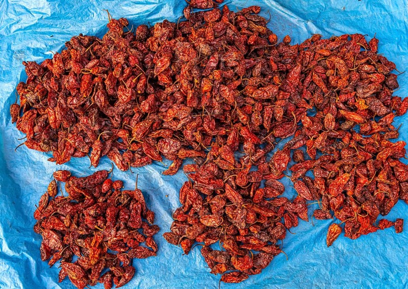King Chili