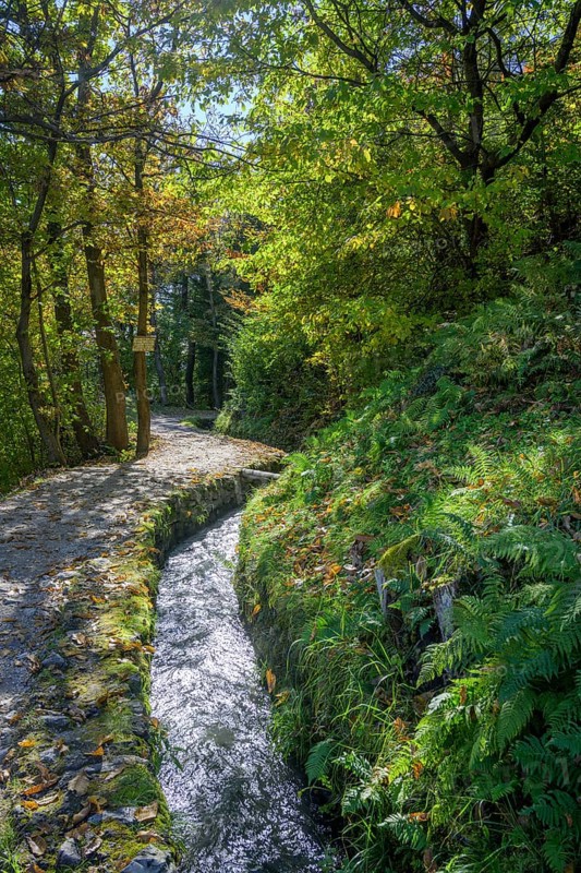 Marlinger Waalweg