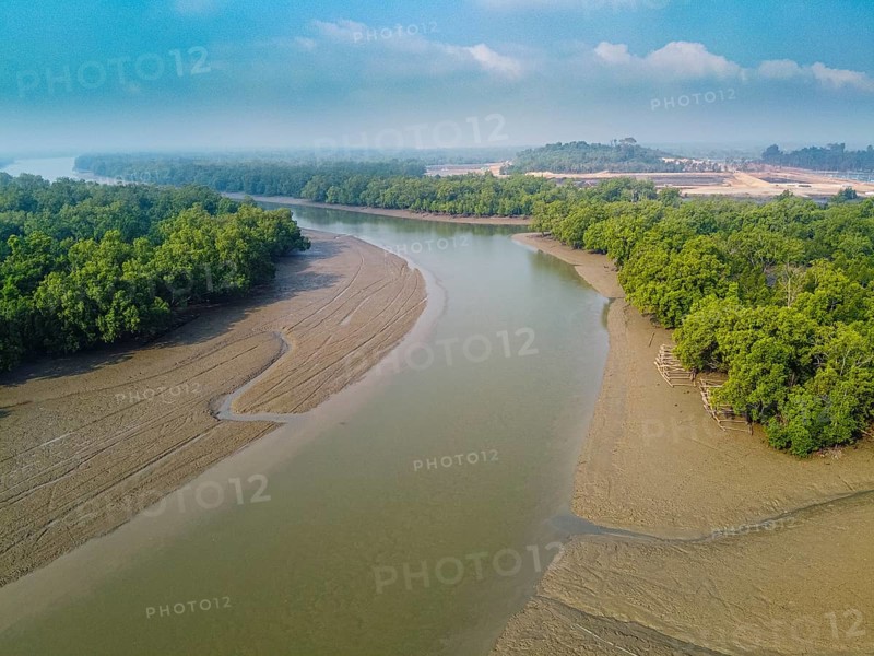 Aerial of water channel through the mangroves
