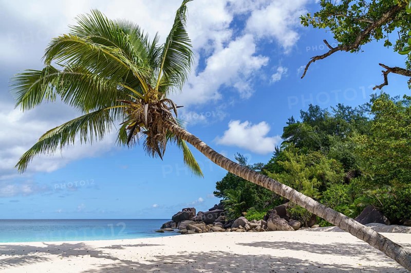 Sandy beach beach Anse Georgette