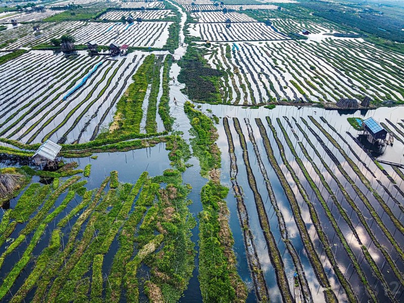 Aerial of the floating gardens