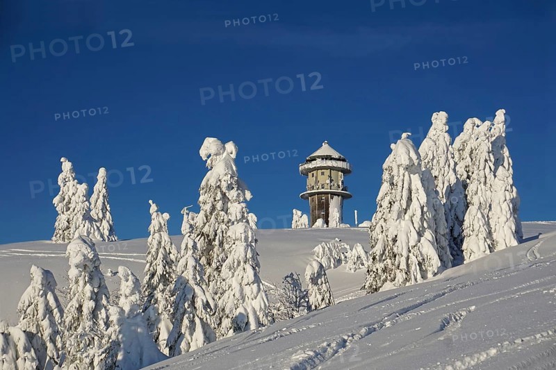 Winter landscape with snow-covered fir trees and Feldberg tower