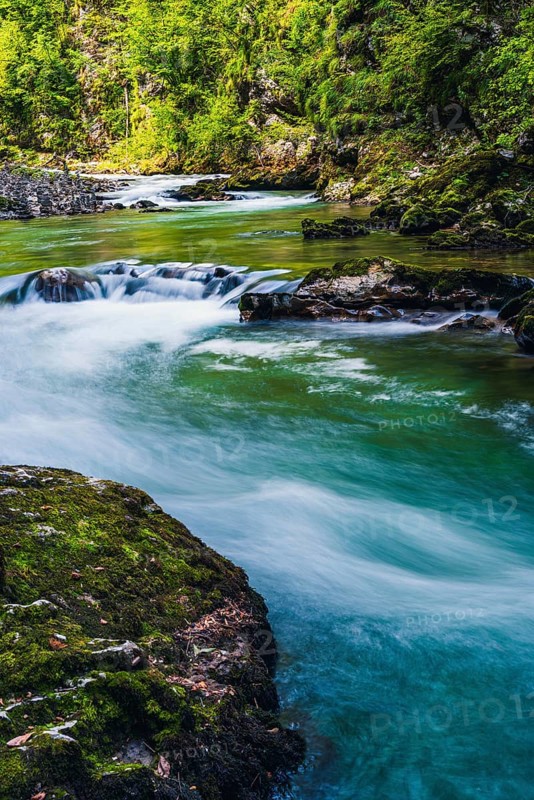 Radovna River in Vintgar Gorge