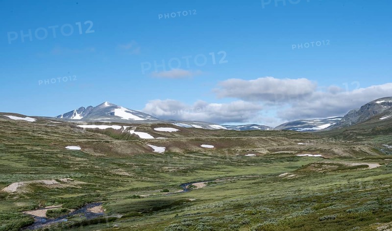 Brook in the fjell