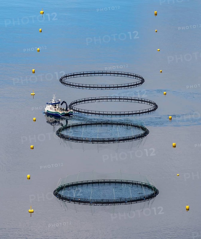 Aquaculture