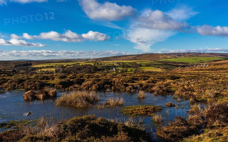 Fields and meadows in Haytor Rocks