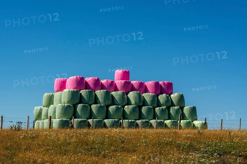 Multicolored bales of silage