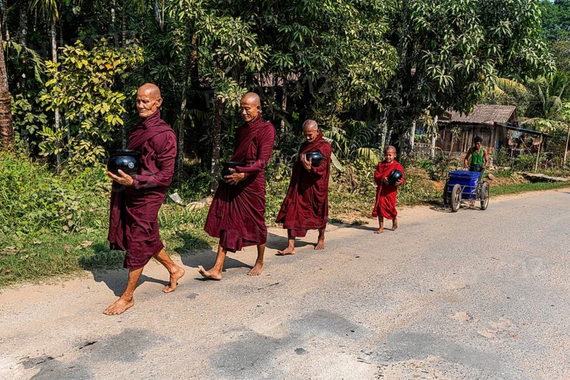 Monks on their early morning walk for rice