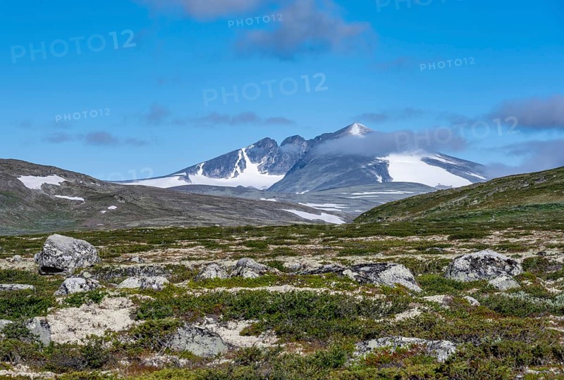 Fjell with mountain Snohetta