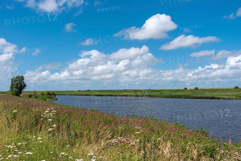 Landscape at the Leyhoerner-Sieltief