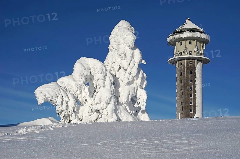 Snowy fir trees in winter landscape next to Feldberg tower