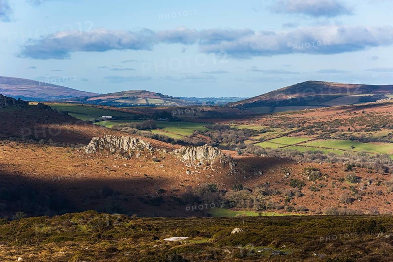 Fields and meadows in Haytor Rocks
