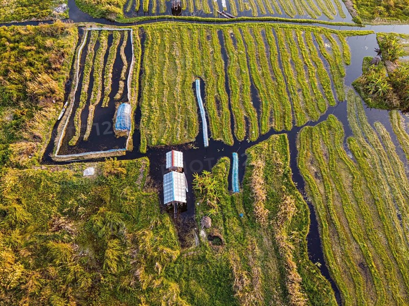Aerial of the swimming gardens