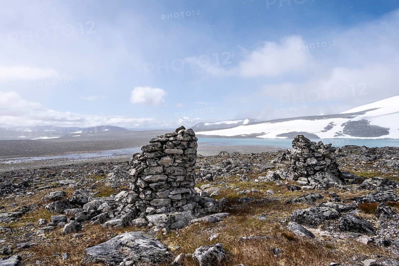 Tundra