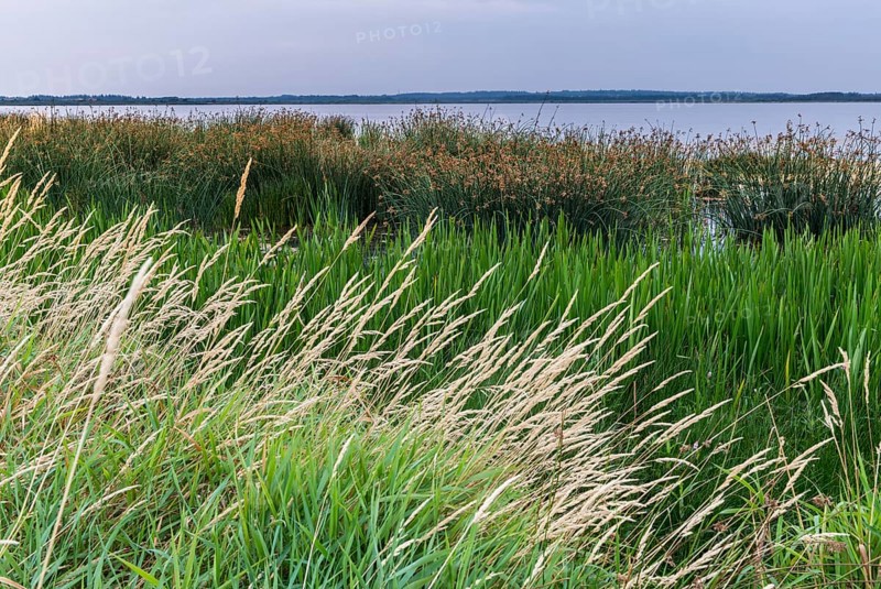 Shore landscape in the Filso nature reserve