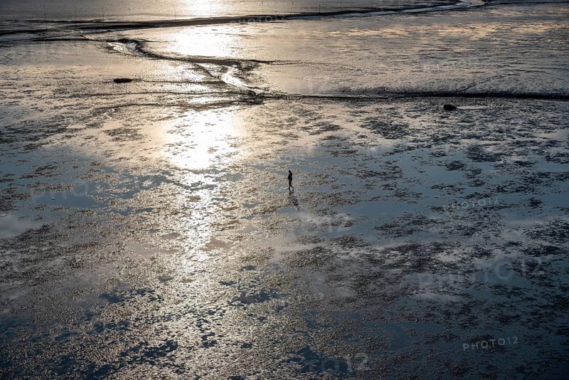 Aerial view of a mudflat walker in the Wadden Sea at low tide