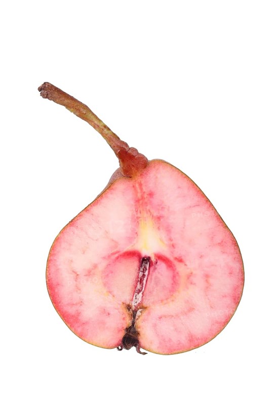 Pear variety Westfaelische Blutbirne