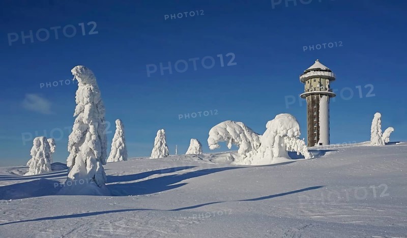 Snowy fir trees in winter landscape next to Feldberg tower