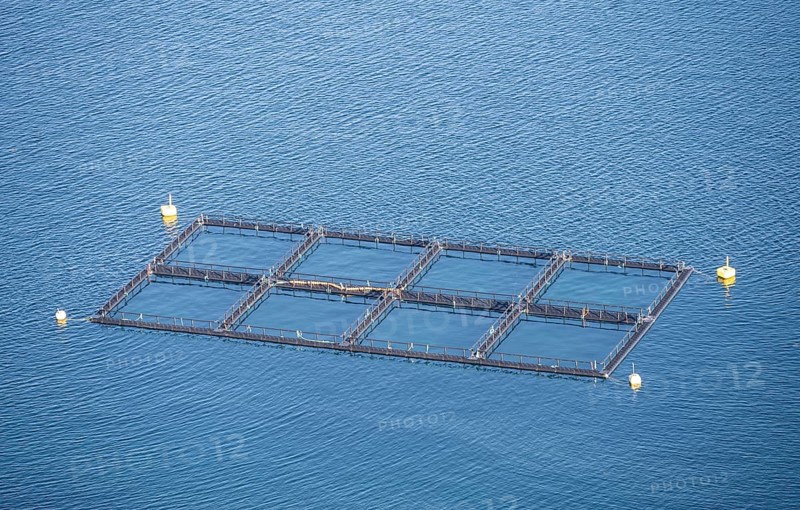 Aquaculture