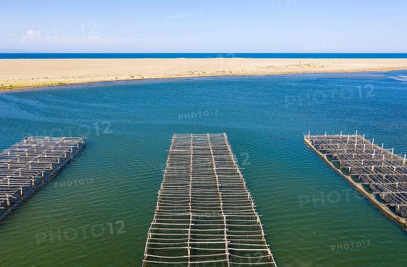Mussel and oyster farming in the Bahia del Fangar