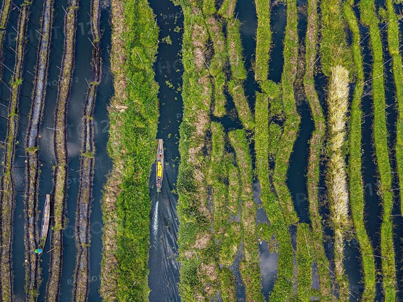 Aerial of the floating gardens