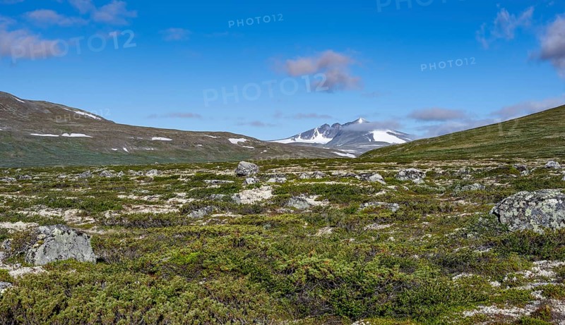 Fjell with mountain Snohetta