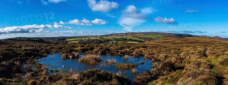 Fields and meadows in Haytor Rocks