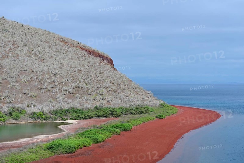 Red beach and sparse vegetation