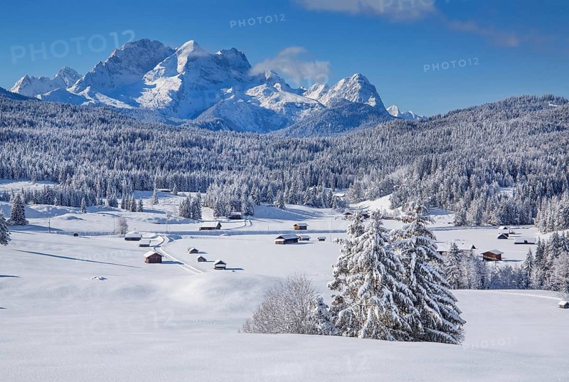 Winterly hummock meadows with Zugspitze group in the Wetterstein mountains