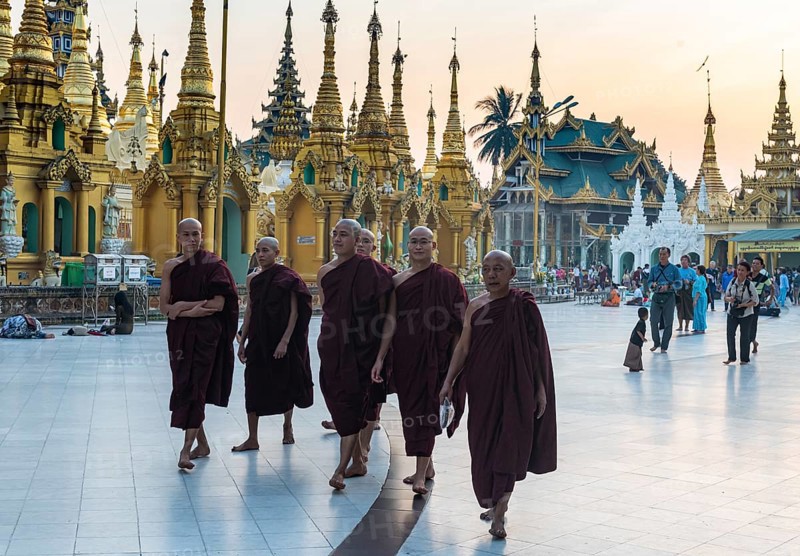 Monks at the Shwedagon pagoda