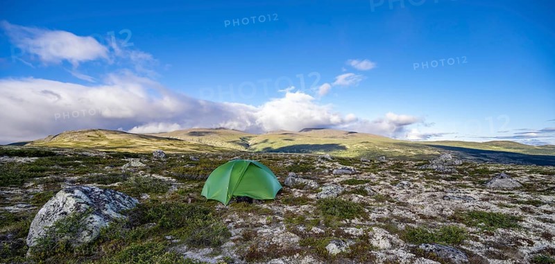 Green tent