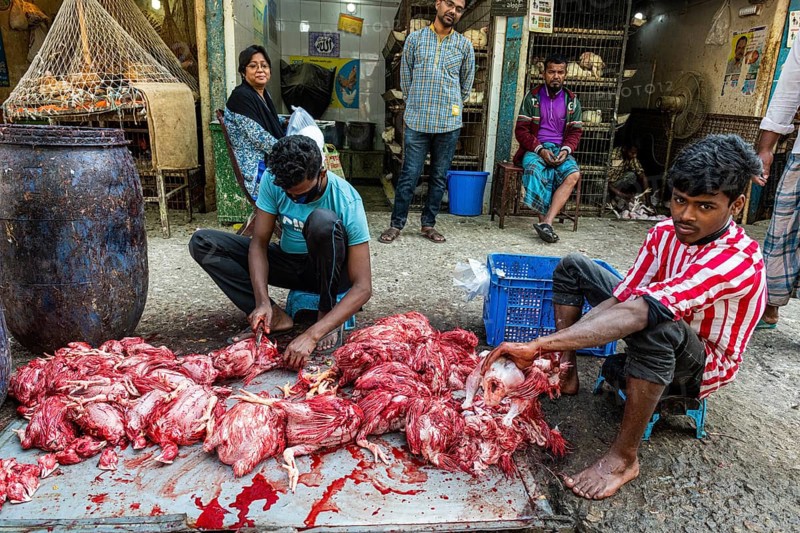 Men taking chicken apart
