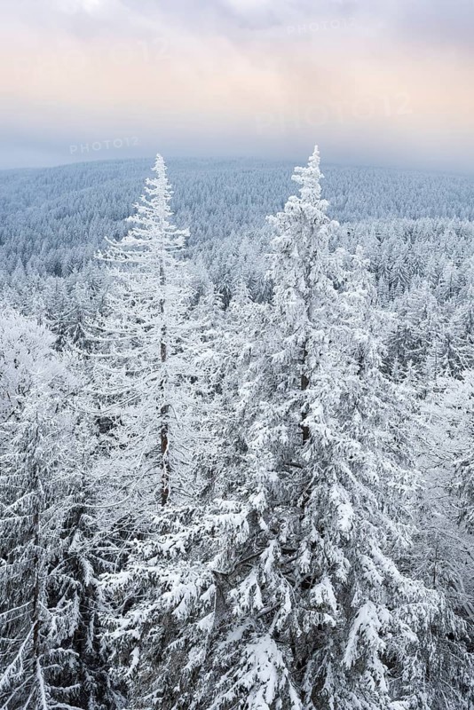 View from the rock formation Rudolphstein over spruce forest with snow to the Schneeberg in winter