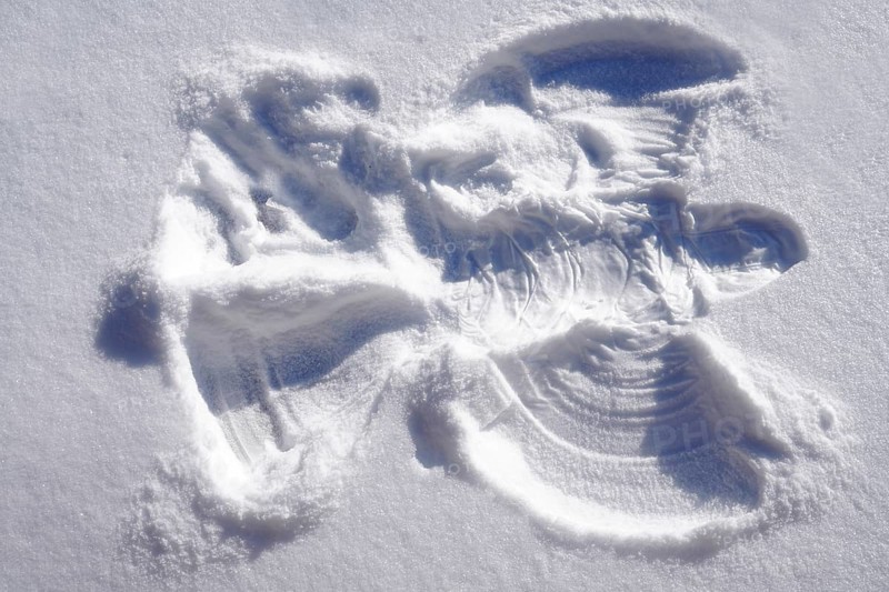 Snow Angel